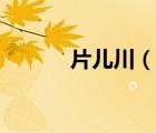 片兒川（說(shuō)一說(shuō)片兒川的簡(jiǎn)介）