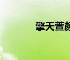 擎天萱顏by三石（擎天萱顏）