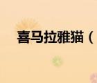 喜馬拉雅貓（說(shuō)一說(shuō)喜馬拉雅貓的簡(jiǎn)介）