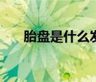 胎盤是什么發(fā)育而來的（胎盤是什么）