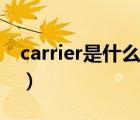 carrier是什么意思中文（carrier是什么意思）