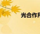 光合作用的過(guò)程（光合作用）