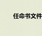 任命書文件格式范文（任命書范文）