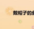 戴帽子的魚(yú)打一字（戴帽子的魚(yú)）