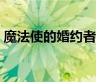 魔法使的婚約者在線觀看（魔法使的婚約者）