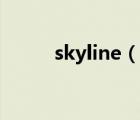 skyline（說一說skyline的簡介）
