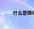 什么是微米光治療（什么是微米）