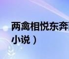 兩禽相悅東奔西顧35章（兩禽相悅東奔西顧小說）