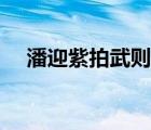 潘迎紫拍武則天的時候幾歲了（潘紫迎）