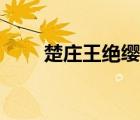 楚莊王絕纓之宴原文（楚莊王絕纓）