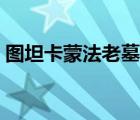 圖坦卡蒙法老墓打開照片（圖坦卡蒙法老墓）