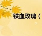 鐵血玫瑰（說(shuō)一說(shuō)鐵血玫瑰的簡(jiǎn)介）