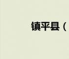 鎮(zhèn)平縣（說(shuō)一說(shuō)鎮(zhèn)平縣的簡(jiǎn)介）