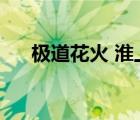 極道花火 淮上百度云（極道花火淮上）