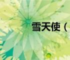 雪天使（說一說雪天使的簡介）