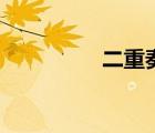 二重奏電視劇（二重奏）
