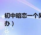 初中暗戀一個男生怎么辦（暗戀一個男生怎么辦）