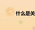 什么是關(guān)稅同盟（什么是關(guān)稅）
