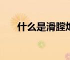 什么是滑膛炮線膛槍?zhuān)ㄊ裁词腔排冢?/>
                                    </a>
                                                </div>
                                    <div   id=
