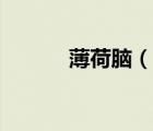 薄荷腦（說(shuō)一說(shuō)薄荷腦的簡(jiǎn)介）