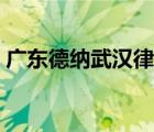 廣東德納武漢律師事務(wù)所（武漢律師事務(wù)所）