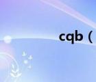 cqb（說一說cqb的簡介）