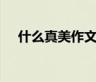 什么真美作文400個字（什么真美作文）
