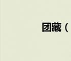團藏（說一說團藏的簡介）