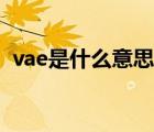 vae是什么意思網(wǎng)絡(luò)用語(yǔ)（vae是什么意思）