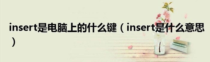 insert是電腦上的什么鍵（insert是什么意思）