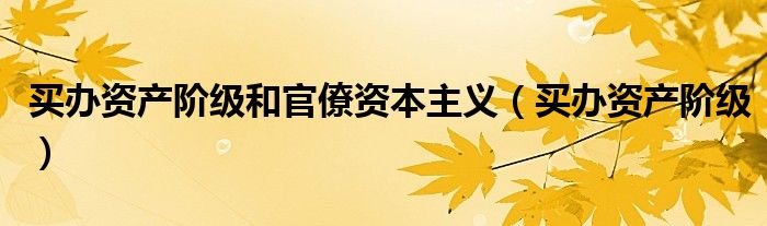 買辦資產(chǎn)階級和官僚資本主義（買辦資產(chǎn)階級）