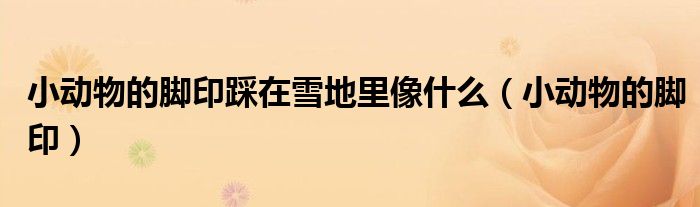 小動(dòng)物的腳印踩在雪地里像什么（小動(dòng)物的腳?。? />
                                         </a>
                                    </div>
                                 <div   id=
