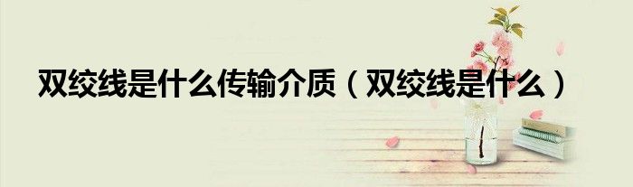 雙絞線是什么傳輸介質(zhì)（雙絞線是什么）