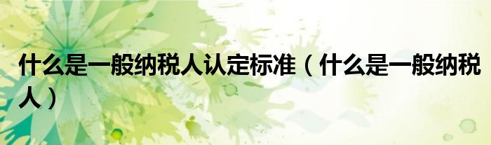 什么是一般納稅人認(rèn)定標(biāo)準(zhǔn)（什么是一般納稅人）