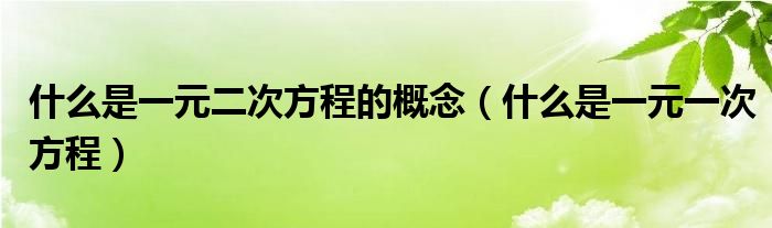 什么是一元二次方程的概念（什么是一元一次方程）