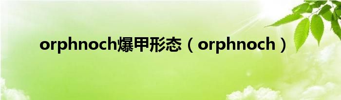 orphnoch爆甲形態(tài)（orphnoch）