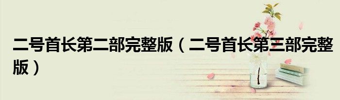 二號首長第二部完整版（二號首長第三部完整版）