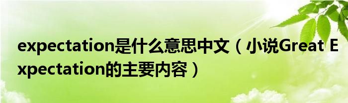 expectation是什么意思中文（小說Great Expectation的主要內(nèi)容）