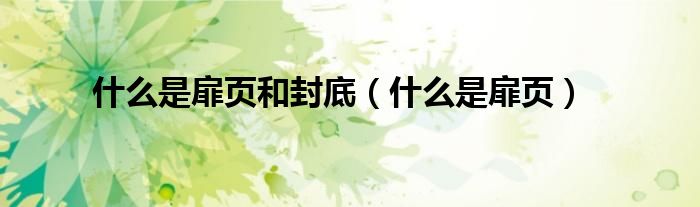 什么是扉頁和封底（什么是扉頁）