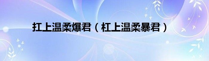 扛上溫柔爆君（杠上溫柔暴君）
