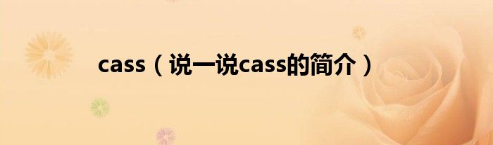 cass（說一說cass的簡介）