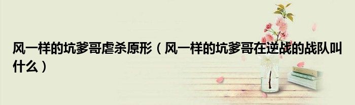 風一樣的坑爹哥虐殺原形（風一樣的坑爹哥在逆戰(zhàn)的戰(zhàn)隊叫什么）