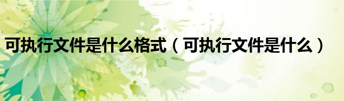 可執(zhí)行文件是什么格式（可執(zhí)行文件是什么）