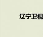 遼寧衛(wèi)視臺直播（遼寧臺直播）