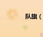 隊旗（說一說隊旗的簡介）
