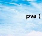 pva（說一說pva的簡介）