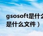 gsosoft是什么文件夾可以刪除嗎（gsosoft是什么文件）