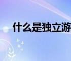 什么是獨(dú)立游戲開發(fā)（什么是獨(dú)立游戲）