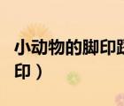 小動(dòng)物的腳印踩在雪地里像什么（小動(dòng)物的腳?。?/>
                                    </a>
                                                </div>
                                    <div   id=
