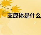 支原體是什么癥狀表現(xiàn)（支原體是什么）